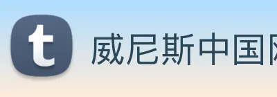 威尼斯中国网站 Logo